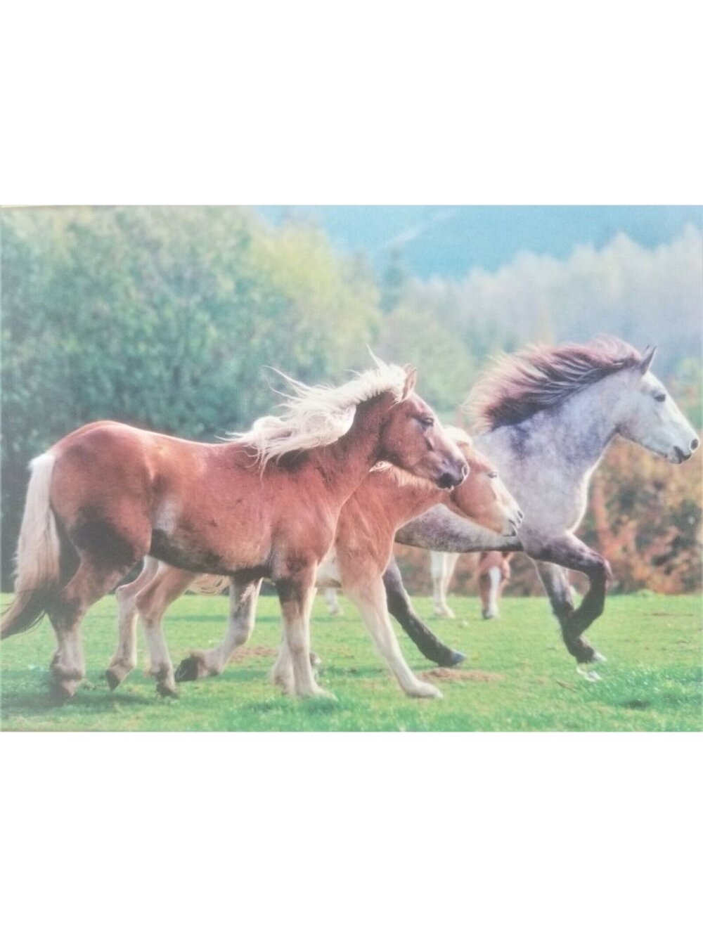Running Horses Winning the Race Puzzlers Collection 1000 Piece Jigsaw Puzzle